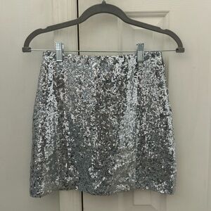 Silver Sequin Skirt